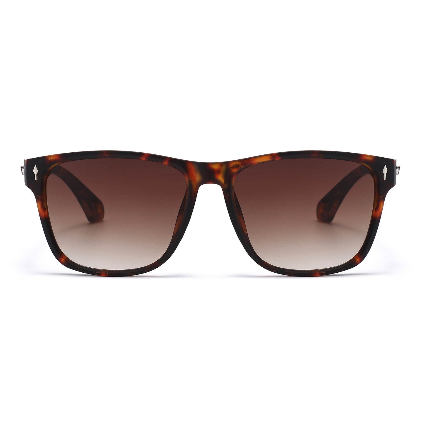Caliber - Tortoise / Gradient Brown