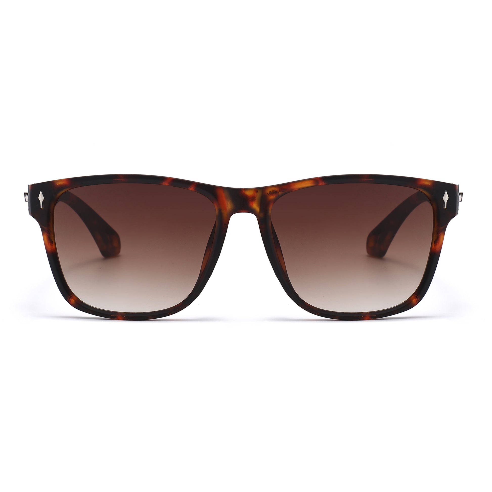 Caliber - Tortoise / Gradient Brown